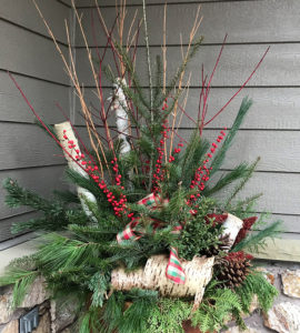 Winter planters with greenery and festive holiday potted plants.